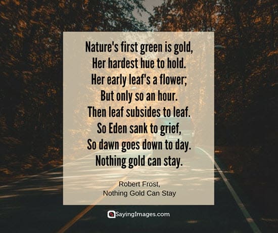 30 Beautiful Nature  Quotes  SayingImages com