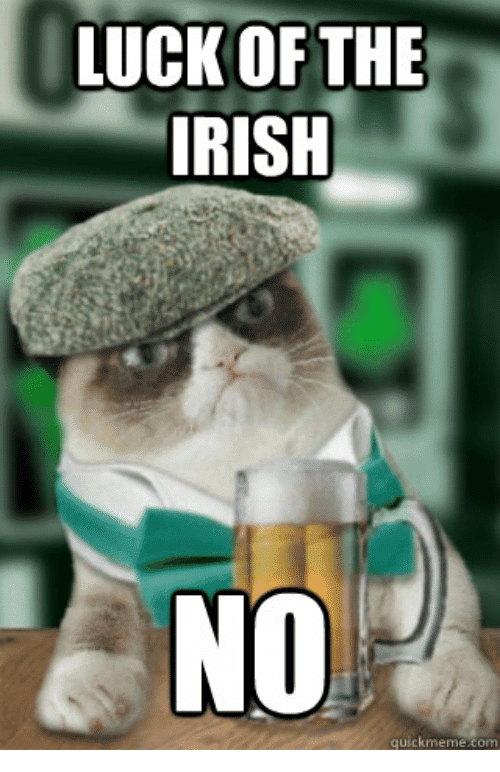 20 Best Irish Memes You'll Totally Find Funny - SayingImages.com