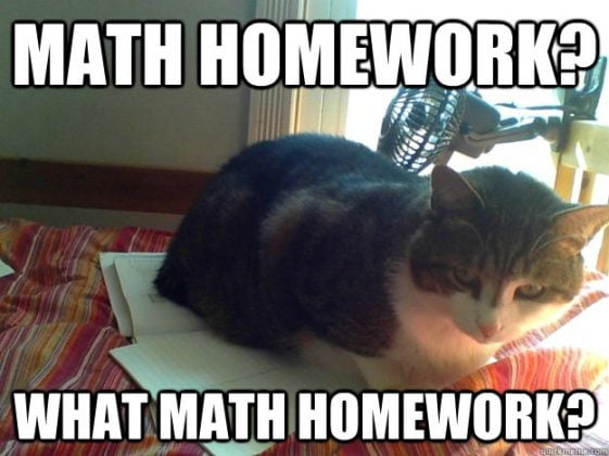 maths homework meme
