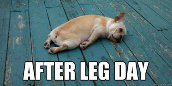 me after leg day meme