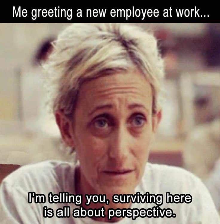 17 Bittersweet New Employee Memes For Office Use ...