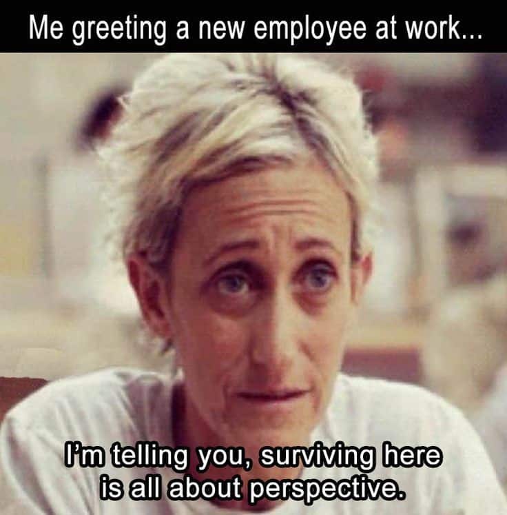 17 Bittersweet New Employee Memes For Office Use - SayingImages.com