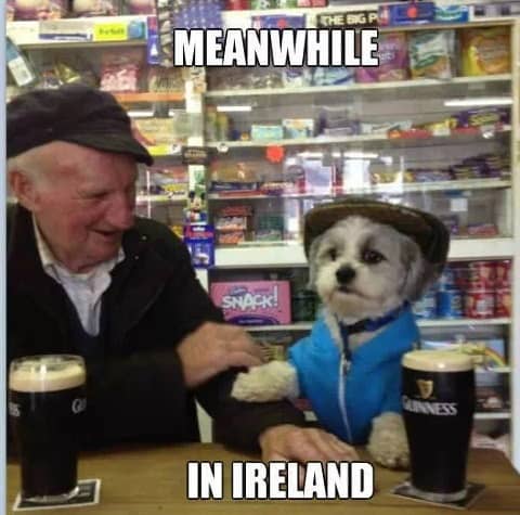 irish trip meme