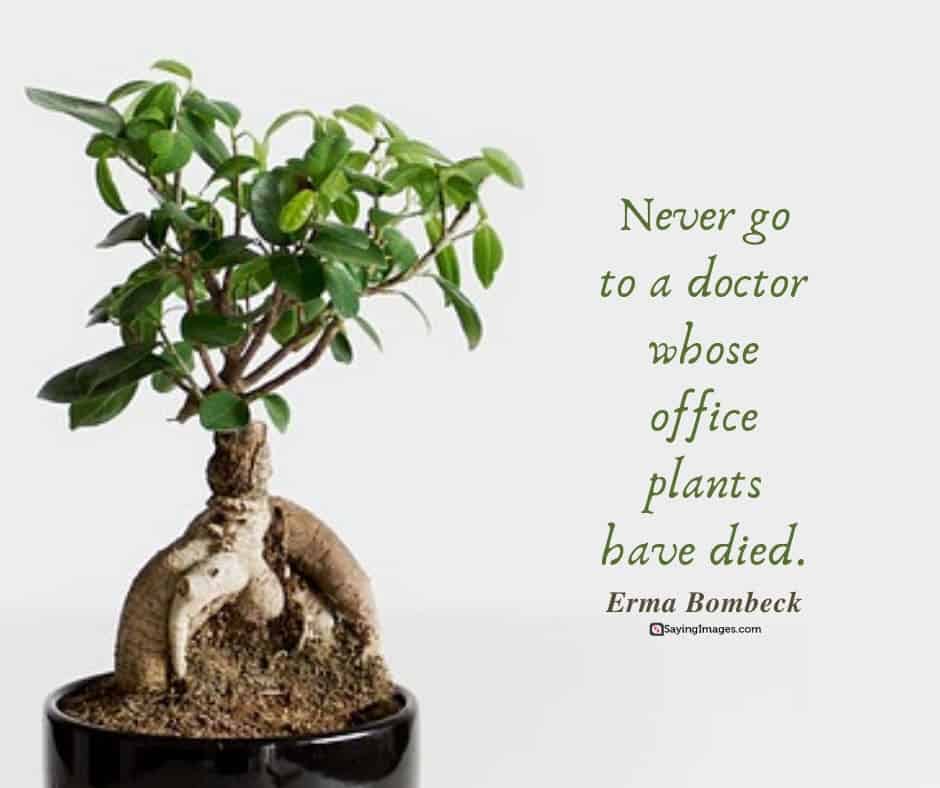 medical plants quotes