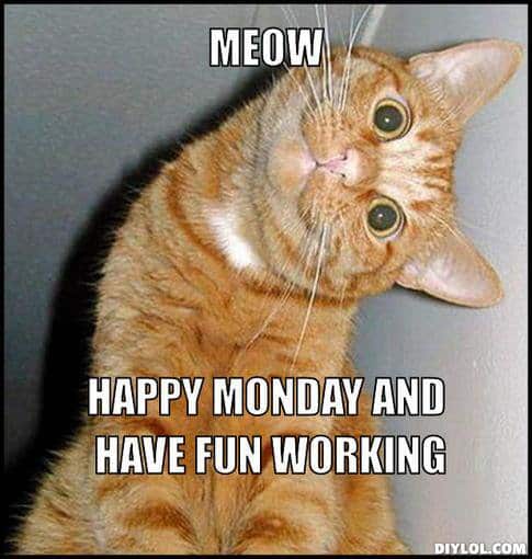 happy monday images cats