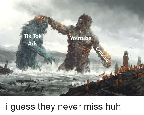 miss tiktok meme