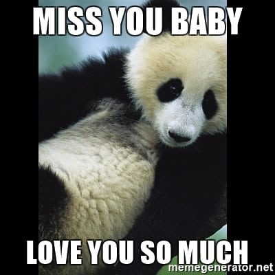 I Miss You Otter Meme