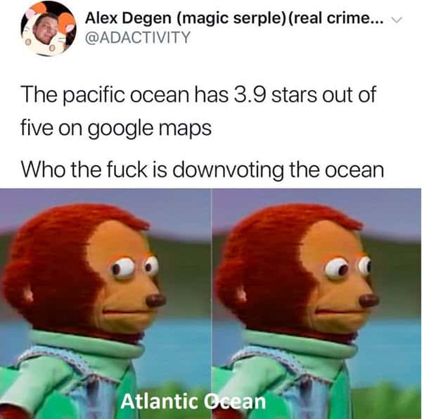 monkey puppet pacific ocean meme