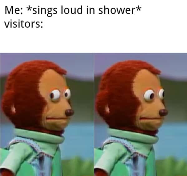 monkey puppet sings loud in shower meme
