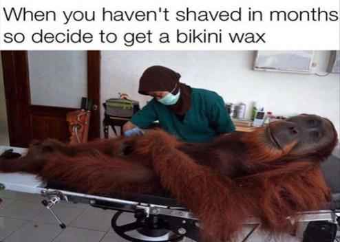 Share a funny waxing meme with a friend today! 