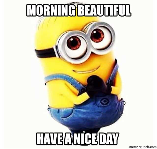 Cute & Funny 'Good Morning Beautiful' Memes For Your Loved Ones ...