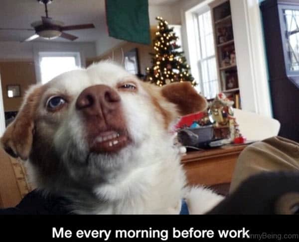 morning before work meme