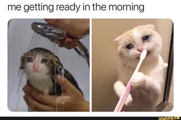 morning getting ready meme