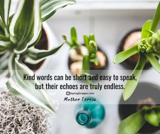 mother teresa kind words quotes