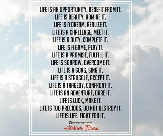 mother teresa life quote