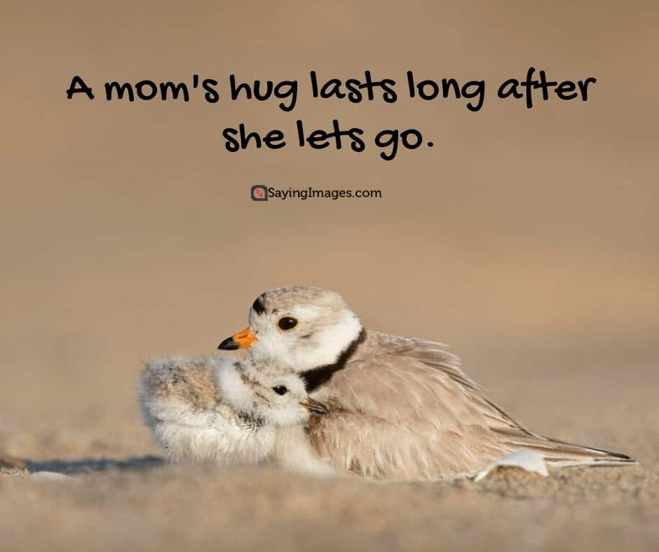 mothers day quotes hug