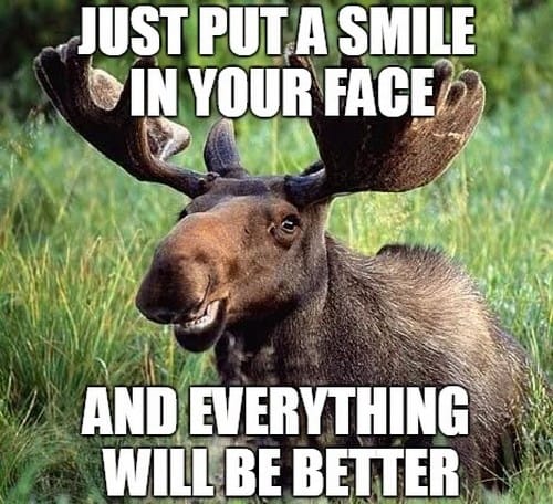 motivational put a smile in your face memes