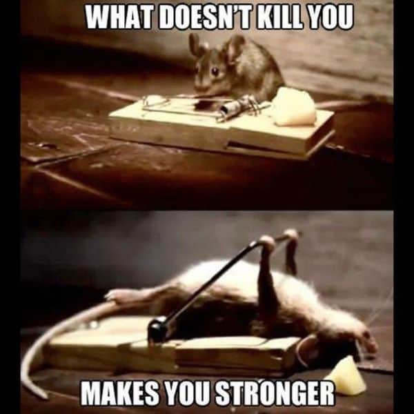 motivational what doesnt kill you makes you stronger memes