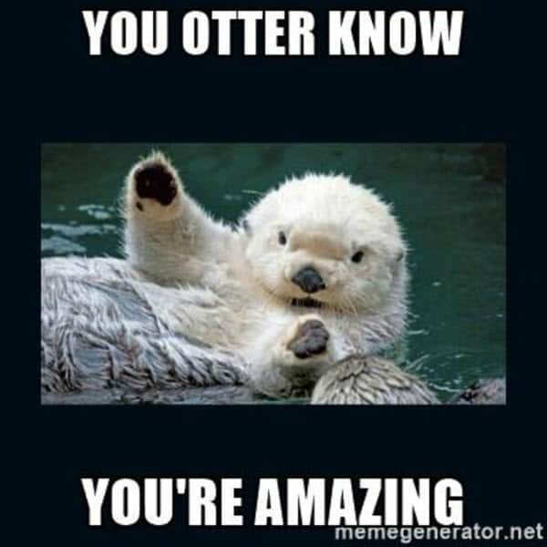 motivational you otter know memes