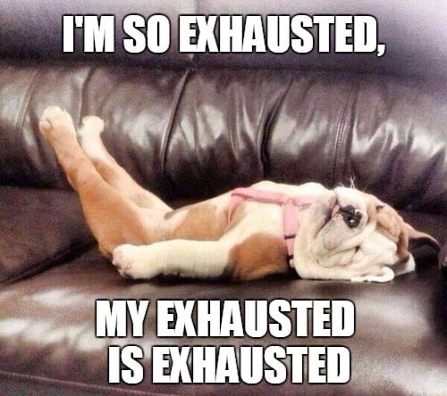 25 Exhausted Memes You ll Find Way Too Funny SayingImages