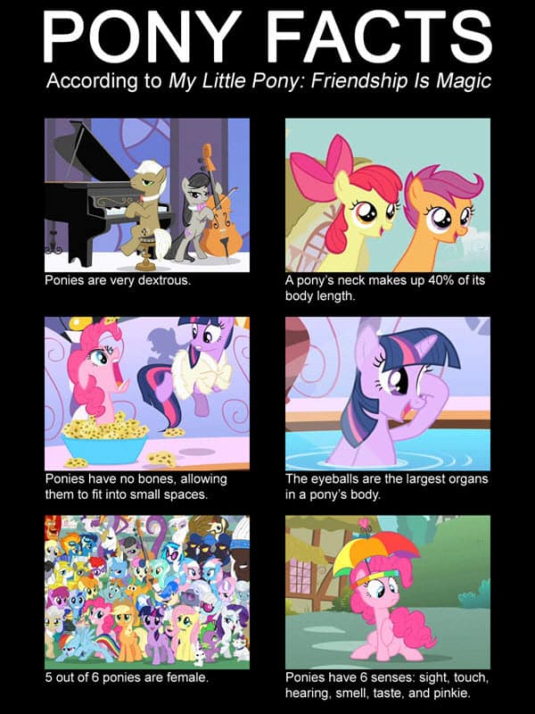 my little pony facts meme