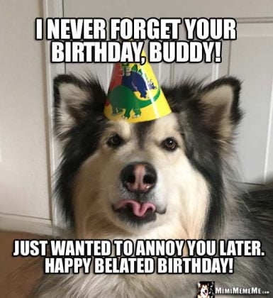 35 Best Happy Belated Birthday Memes - SayingImages.com