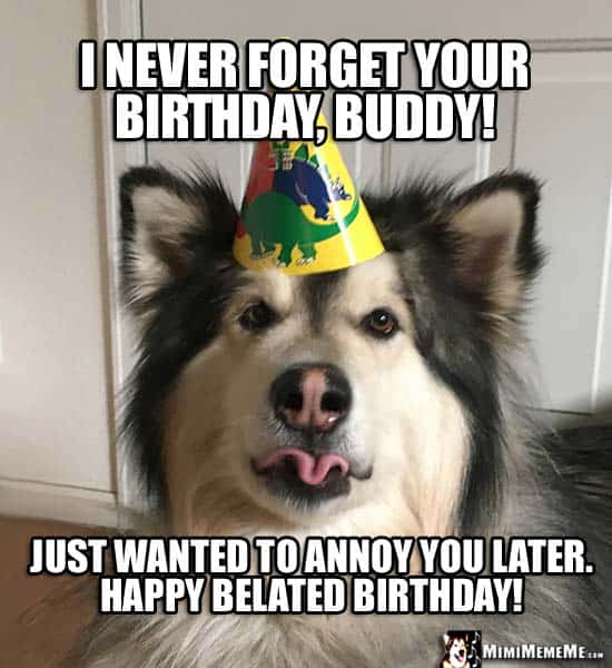 35 Best Happy Belated Birthday Memes - SayingImages.com