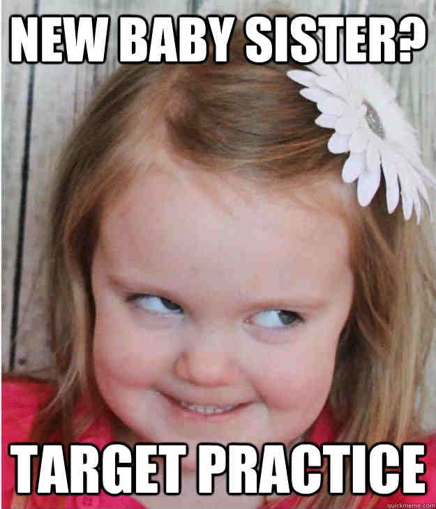 30 Totally Funny Sister Memes We Can All Relate To - SayingImages.com