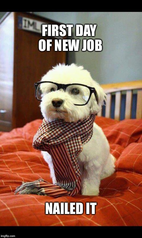 30 Awesome New Job Memes Thatll Make You Feel Proud