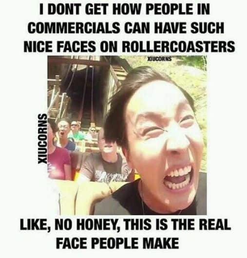 nice faces rollercoaster meme