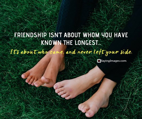 nice friendship quotes