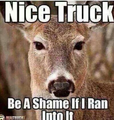 The 20 Best Deer Hunting Memes So Far SayingImages Com   Nice Truck Deer Hunting Meme 399x420 