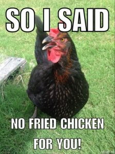 20 Chicken Memes That Are Surprisingly Funny - SayingImages.com