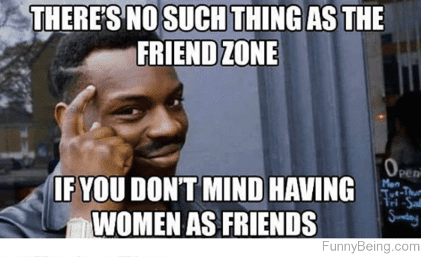 Bildresultat för friendzone meme