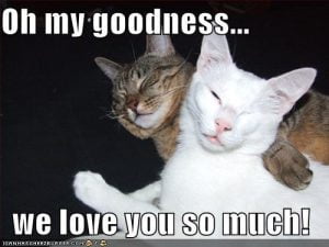 20 Very Sweet And Funny I Love You This Much Memes - SayingImages.com