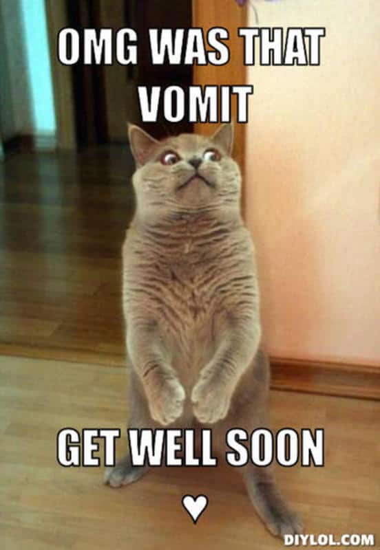 40 Funny Get Well Soon Memes To Cheer Up Your Dear One - SayingImages.com