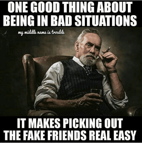 fake friends someecards