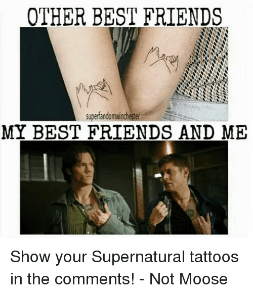 funny tattoo meme videoTikTok Search