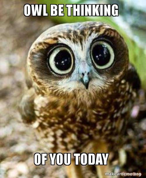 owl be thinking of you meme