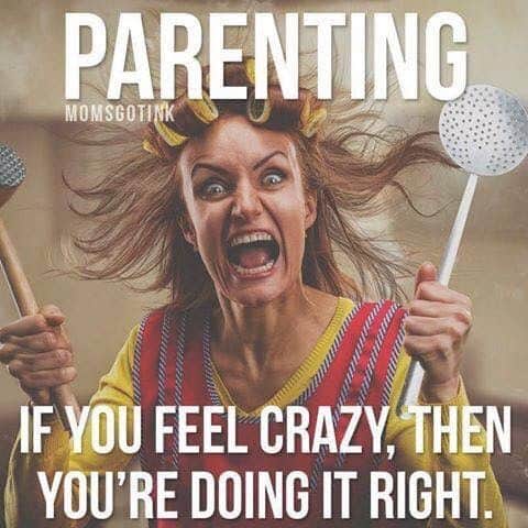 Crazy Mom Memes That Can Surely Take Your Stress Away Sayingimages Com