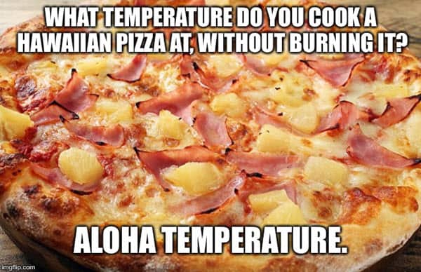 pizza with pineapple aloha temperature meme