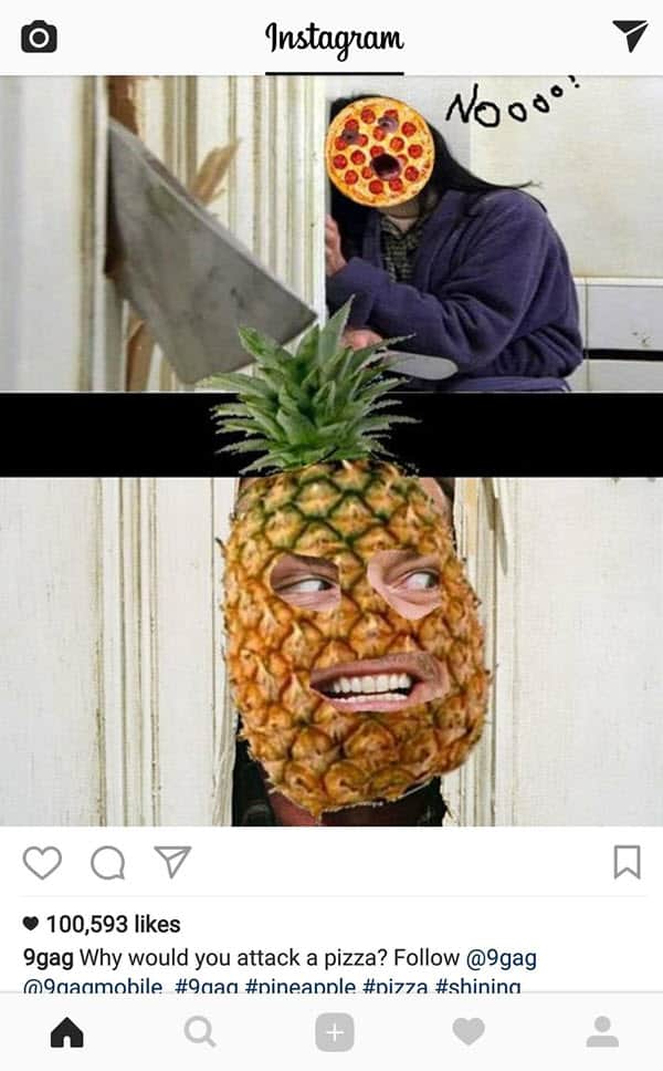 pizza with pineapple nooo meme