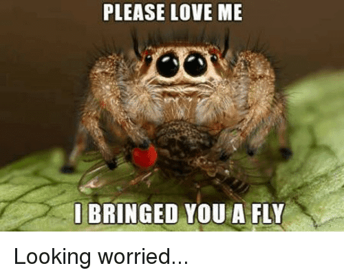 15 Adorable Spider Memes That Will Make Us Laugh The Fear Away Sayingimages Com