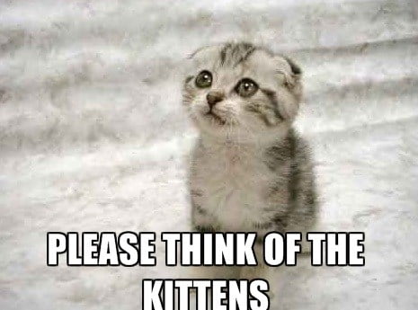 Cute Cat Memes That Will Put You In A Good Mood Sayingimages Com