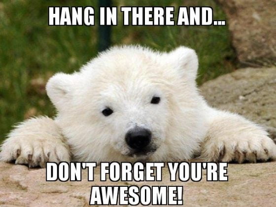 20 Hang In There Meme To Motivate You