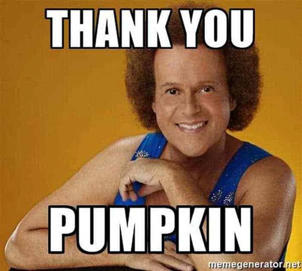 pumpkin thank you memes