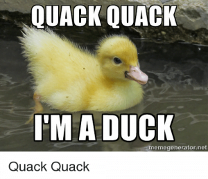 20 Totally Adorable Duck Memes You Won't Be Able To Resist ...