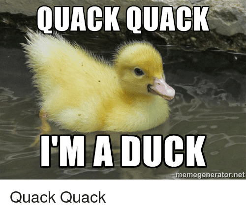 Totally Adorable Duck Memes You Won T Be Able To Resist Sayingimages Com