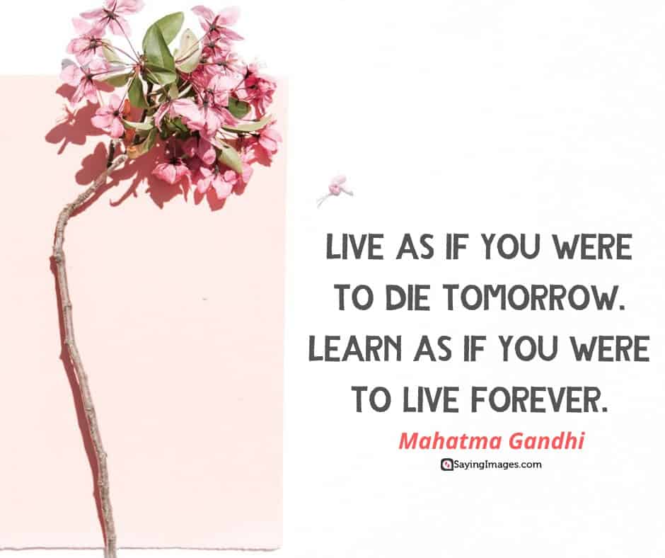 quotes about life die