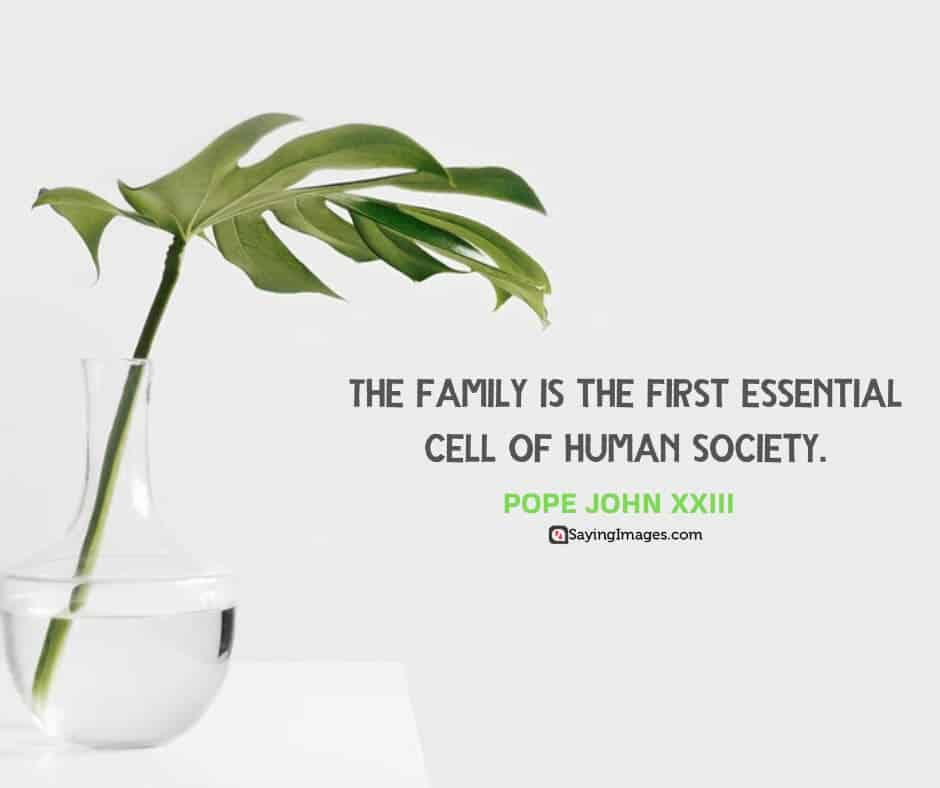 quotes about society family